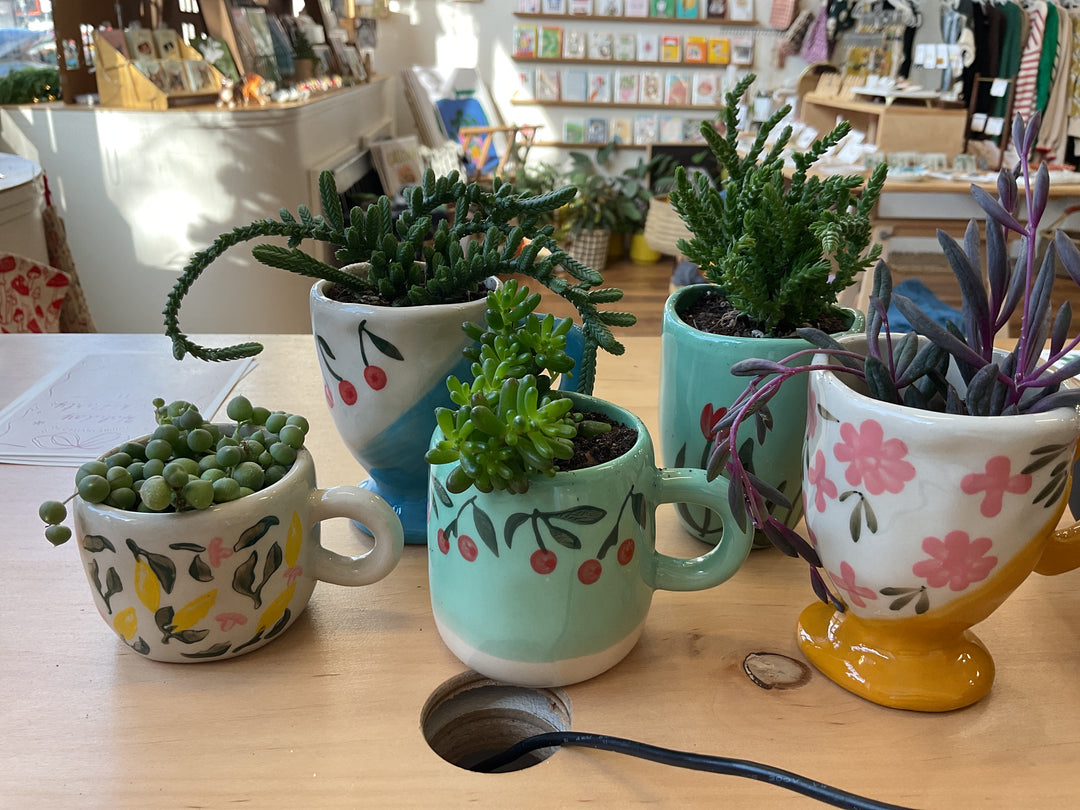 Potted plants