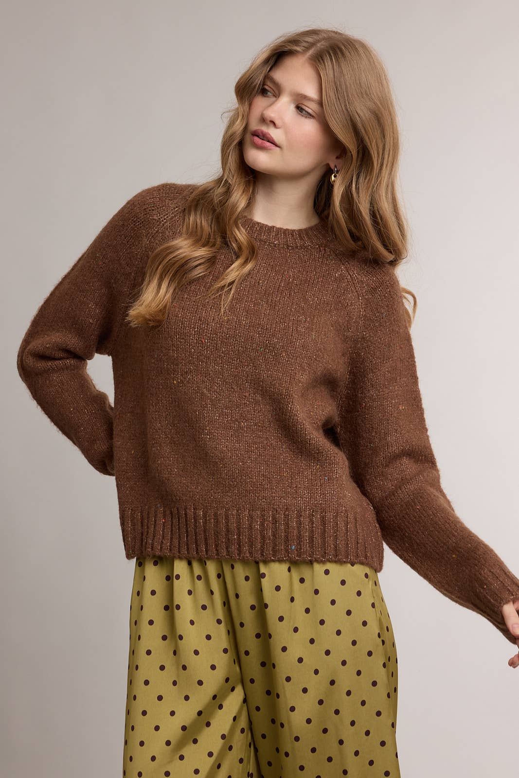SPECKLED SOFT KNIT CREWNECK SWEATER / WL26