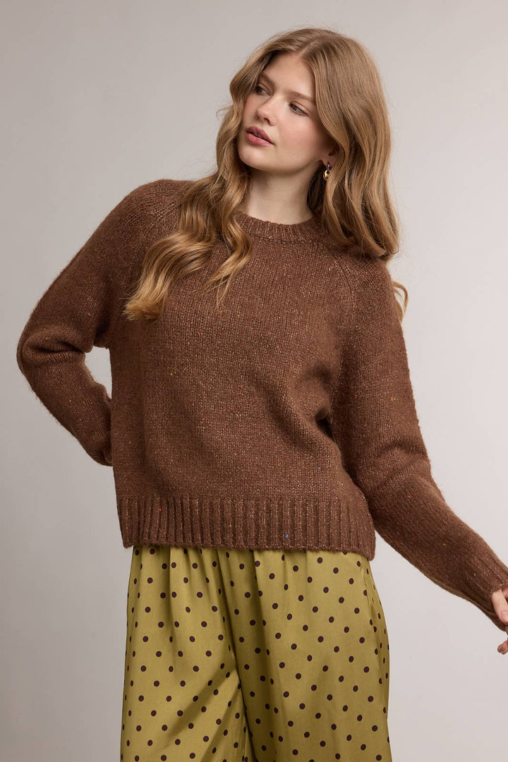 SPECKLED SOFT KNIT CREWNECK SWEATER / WL26