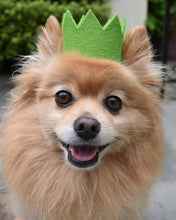 Load image into Gallery viewer, PARTY BEAST CROWN (Options Available)