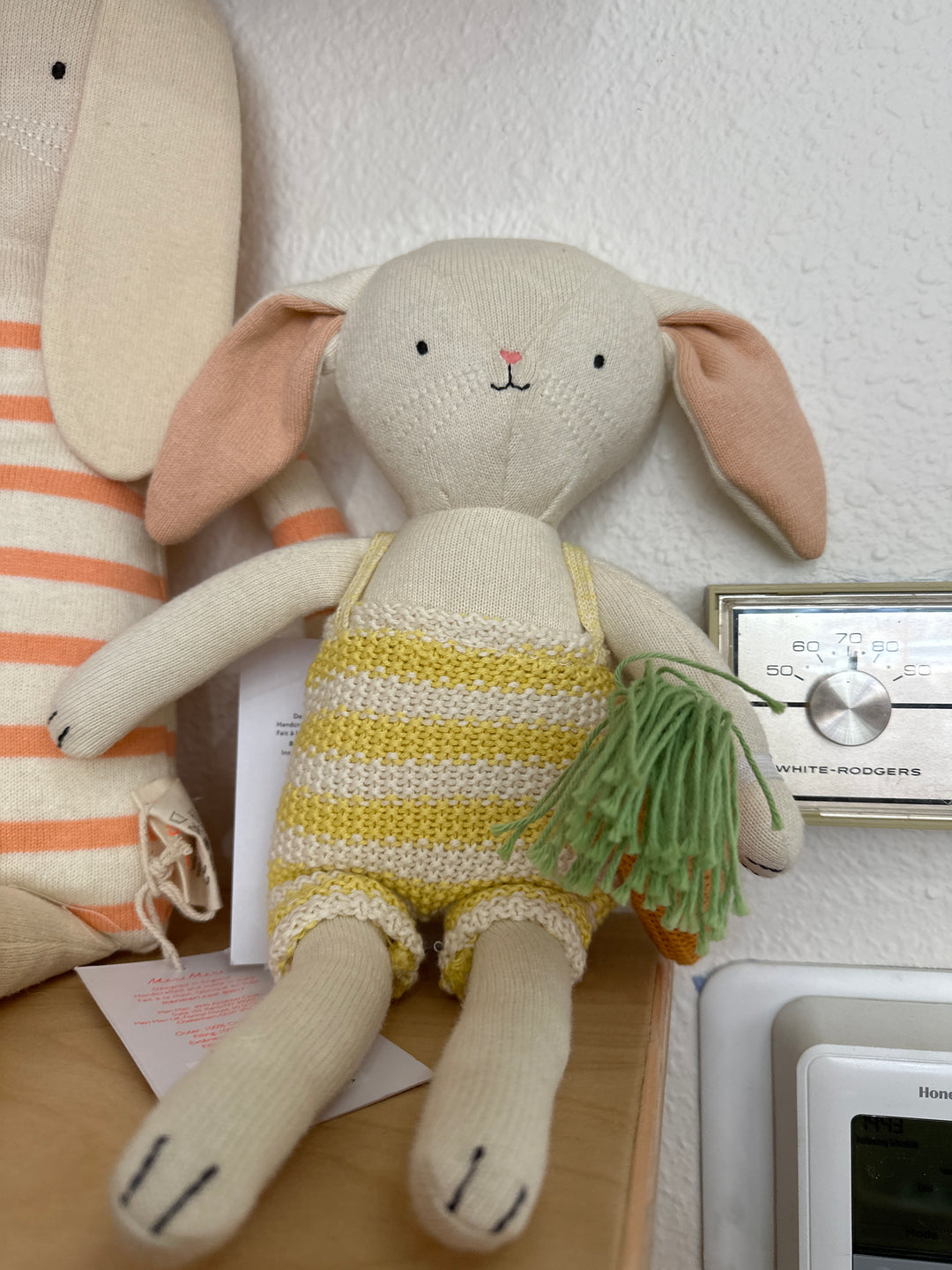 Small bunny
