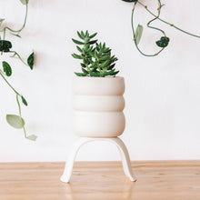 Load image into Gallery viewer, High Rise, Wiggle Planters CR23