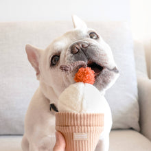 Load image into Gallery viewer, ICE CREAM POP// ENRICHMENT TOY // SNUFFLE TOY
