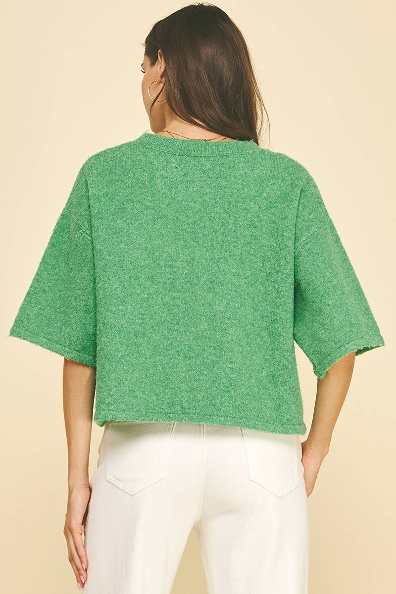BUTTON DOWN SHORT SLEEVE SWEATER - PN652