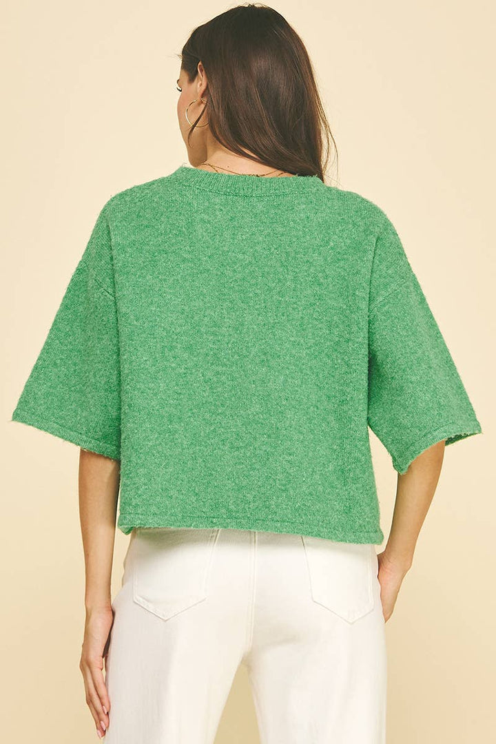 BUTTON DOWN SHORT SLEEVE SWEATER - PN652