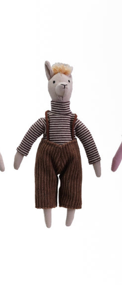 Llamas in clothes