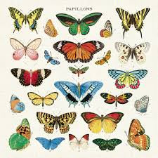 Vintage Napkins Butterflies