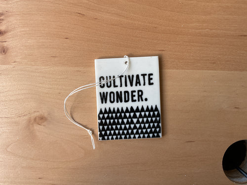 Cultivate wonder