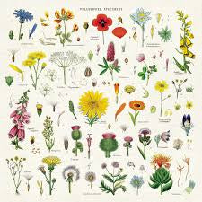 Vintage Napkins Wildflowers