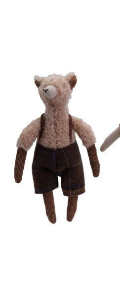 Llamas in clothes