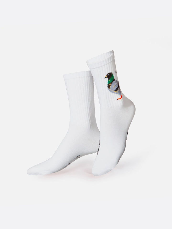Eat My Socks - Pigeon