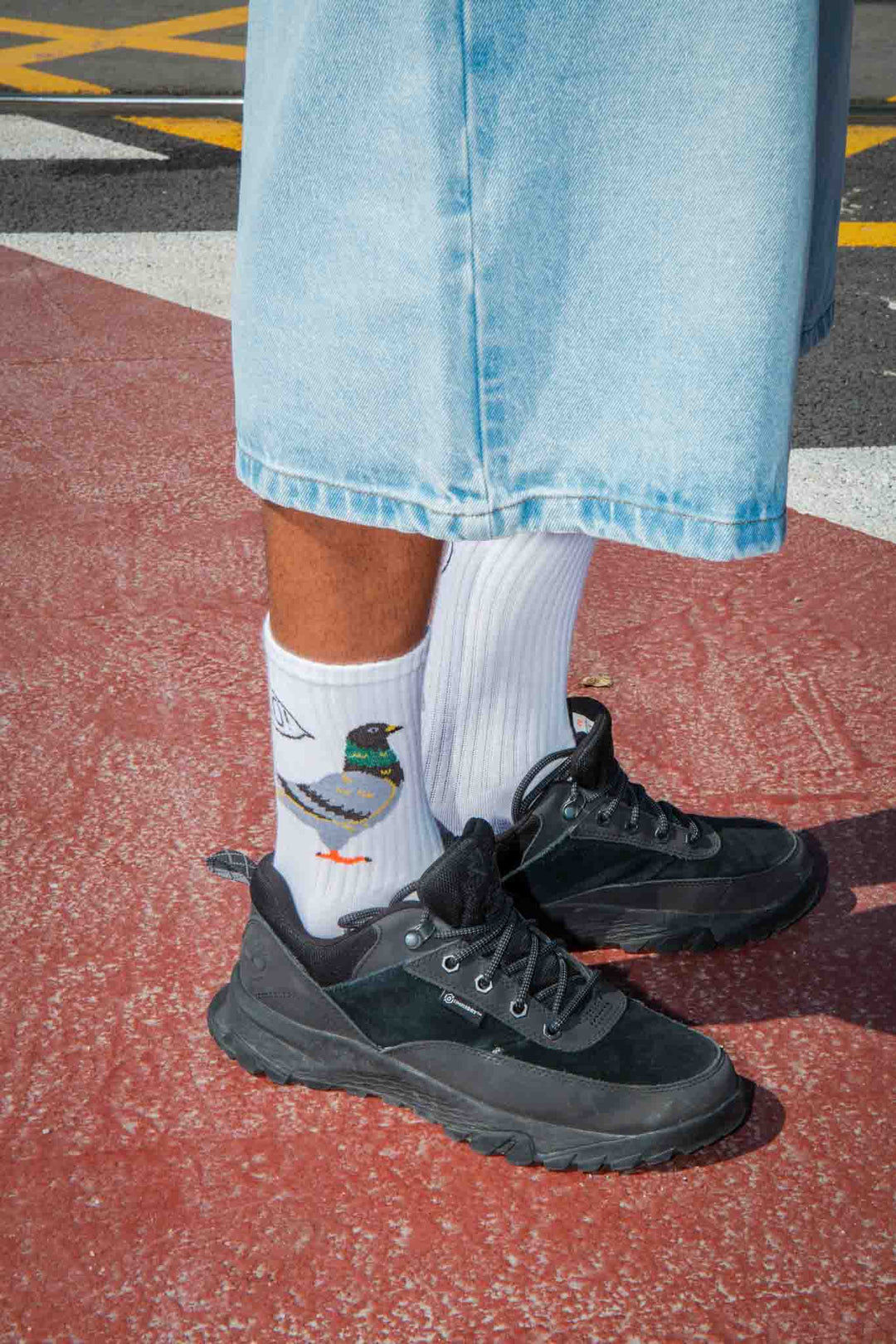 Eat My Socks - Pigeon