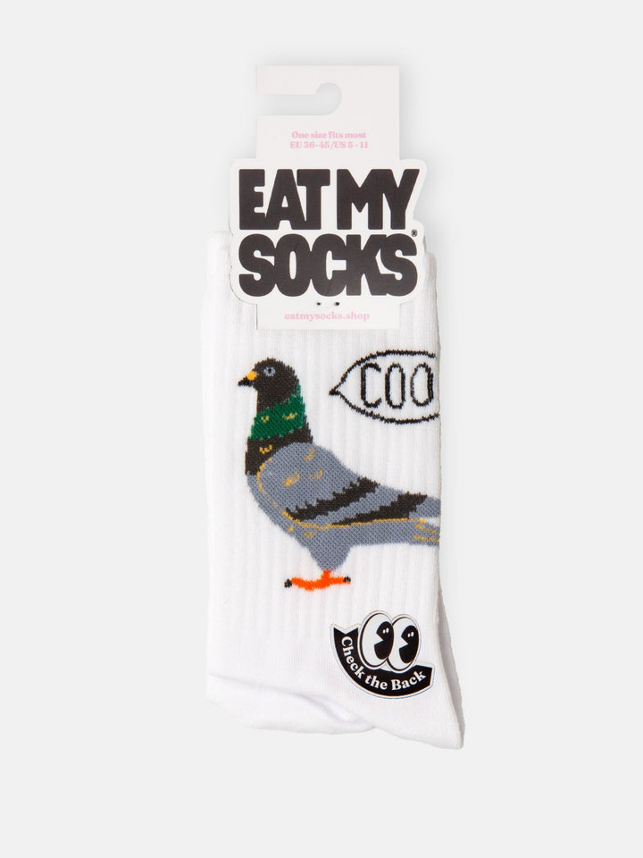 Eat My Socks - Pigeon