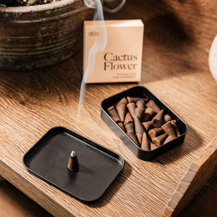 Cactus Flower - elsewhere Collection Incense Cones