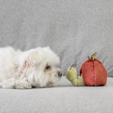 Load image into Gallery viewer, APPLE/ ENRICHMENT TOY SET// SNUFFLE TOY