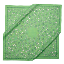 Load image into Gallery viewer, No. 106 Posey Bandana
