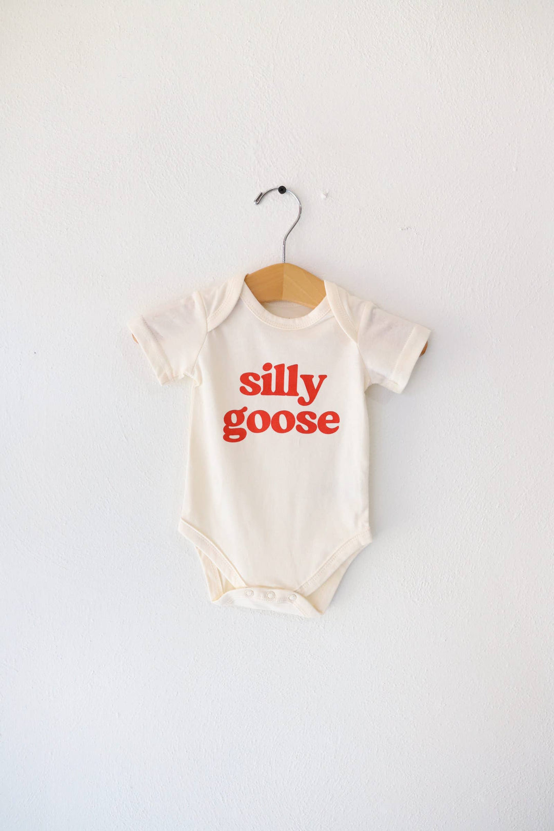 Silly Goose Baby Onesie, baby clothes, baby boy, baby girl PP963