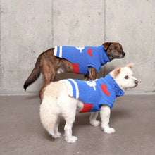 Load image into Gallery viewer, Love Birds Sweater