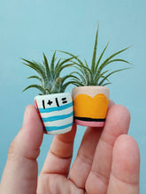 Load image into Gallery viewer, #2 Pencil Mini Planter and Air Plant
