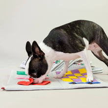 Load image into Gallery viewer, Newspaper Nosework Toy