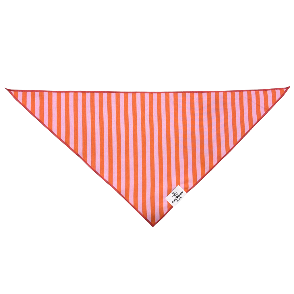 Orange &amp; Pink Stripes Dog Bandana