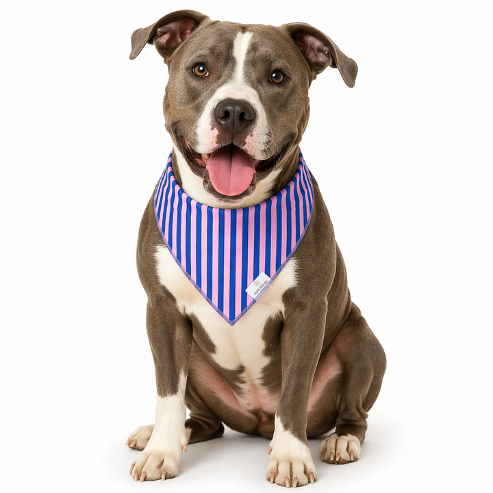 Purple &amp; Pink Striped Dog Bandana