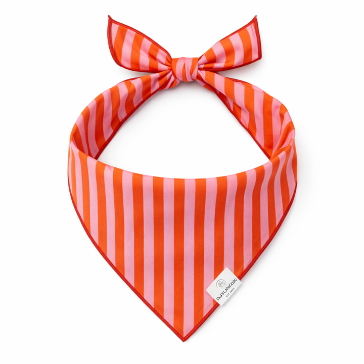 Orange &amp; Pink Stripes Dog Bandana