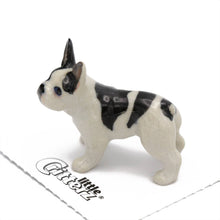 Load image into Gallery viewer, Maximus French Bulldog Porcelain Miniature