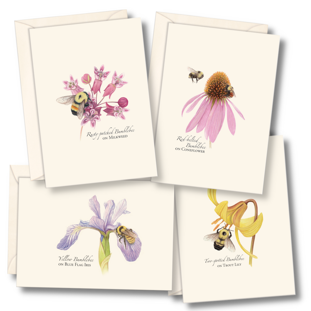 Bumblebee Assortment Notecard Set