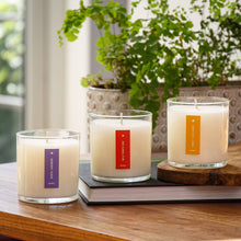 Load image into Gallery viewer, Wild Tomato Vine - Plant the Box Candle - 9oz.