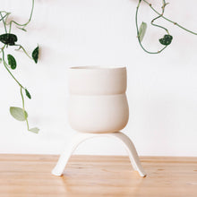 Load image into Gallery viewer, High Rise, Wiggle Planters CR23