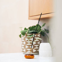 Load image into Gallery viewer, Amber &amp; Moss - Incense