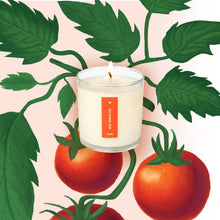 Load image into Gallery viewer, Wild Tomato Vine - Plant the Box Candle - 9oz.