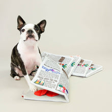 Load image into Gallery viewer, Newspaper Nosework Toy