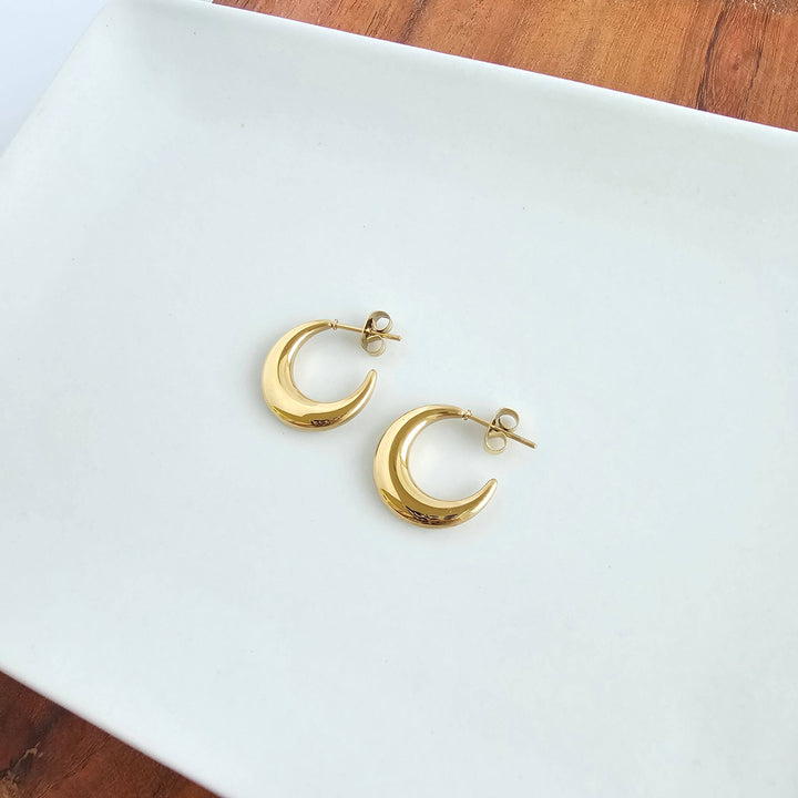 Luxe Selena Hoops   - Gold // Everyday basics, Jewelry
