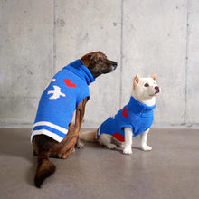 Load image into Gallery viewer, Love Birds Sweater