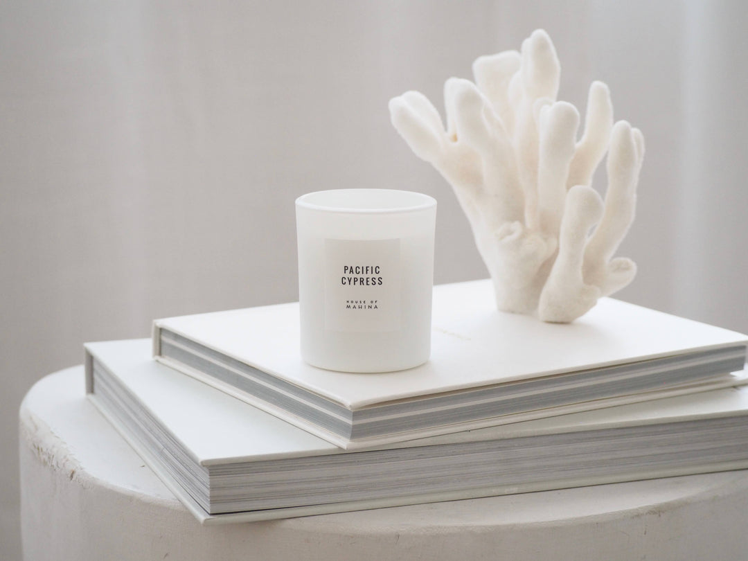 Pacific Cypress Petite Candle 4 oz