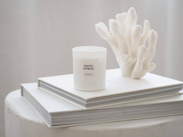 Pacific Cypress Petite Candle 4 oz