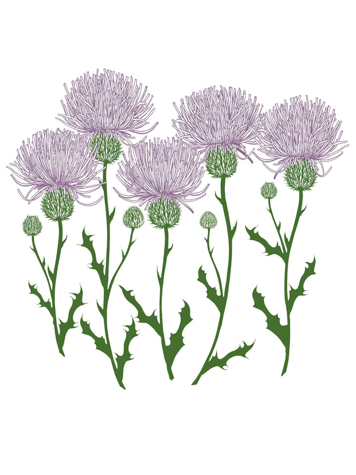 Thistles Maisie Heavyweight Muscle Tee SM984
