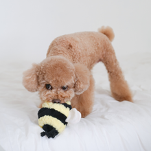 Load image into Gallery viewer, BEE POP