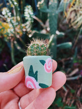 Load image into Gallery viewer, The Sage Rosey Pot