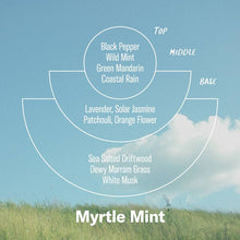 Load image into Gallery viewer, Myrtle Mint - Alchemy Incense Cones