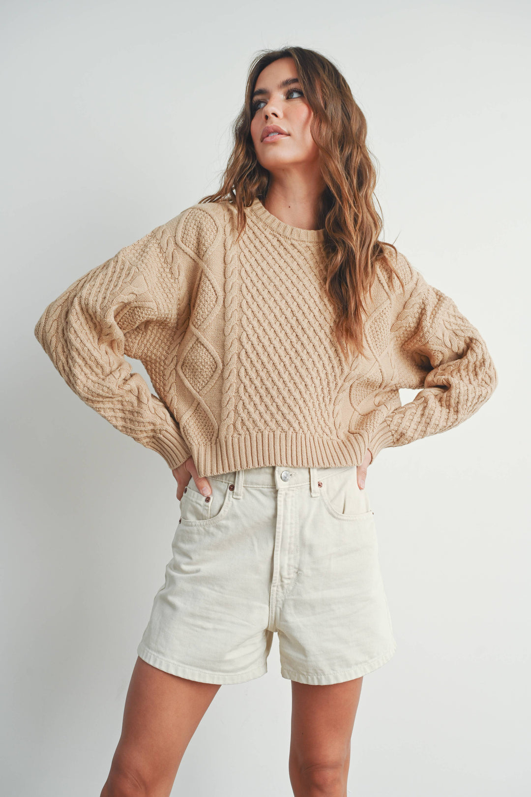 Fall Casual Solid Cable Knit Sweater - BMW719