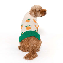 Load image into Gallery viewer, Orange Sweater