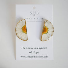 Load image into Gallery viewer, Hanging Terrarium Earrings SS08