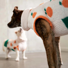 Load image into Gallery viewer, Orange Sweater