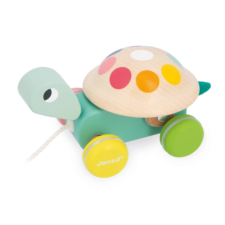 Zigolos Pull-Along Turtle