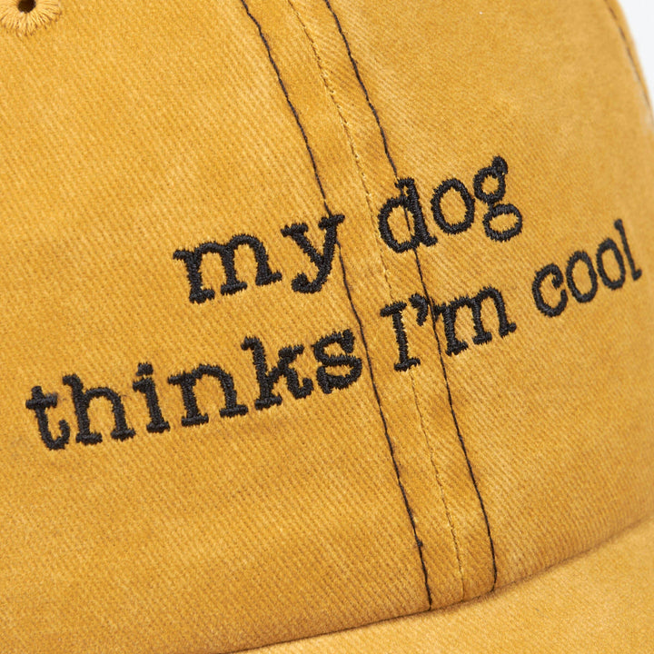 My Dog Thinks I&