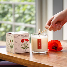 Load image into Gallery viewer, Red Poppy - Plant the Box Candle - 9oz.
