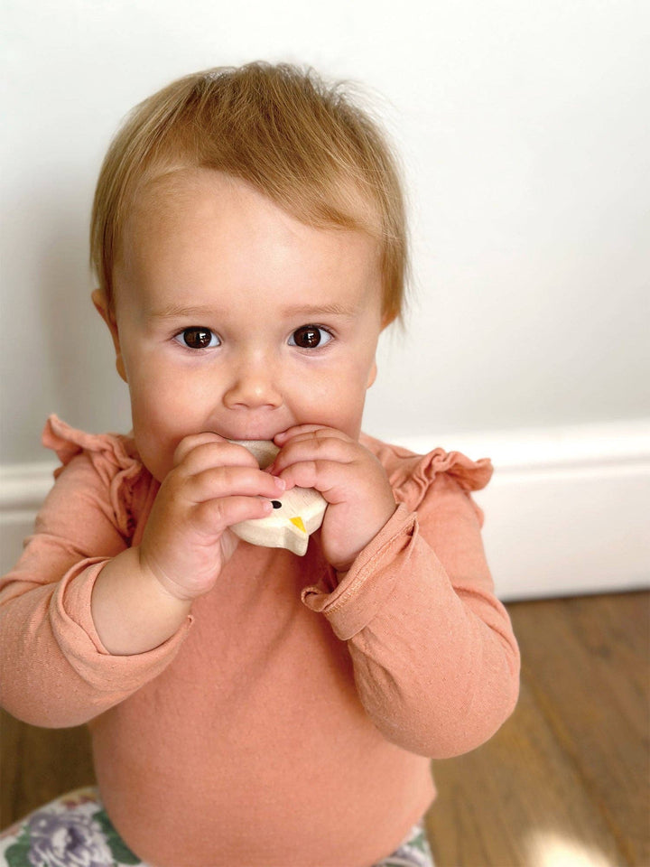 Bird &amp; Kitten Teethers